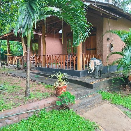 Green Park Safari House & Eco Tree House 우다왈라웨 외부 사진