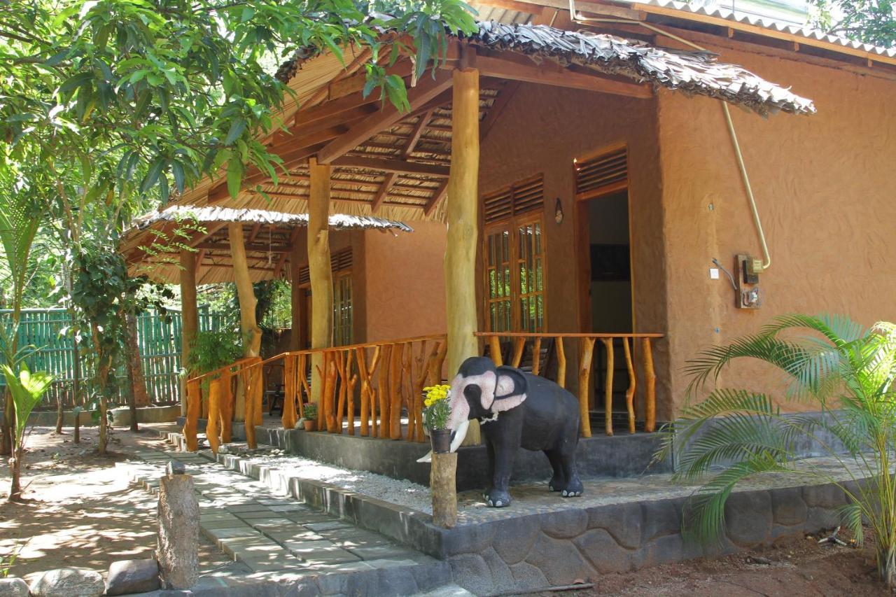 Green Park Safari House & Eco Tree House 우다왈라웨 외부 사진