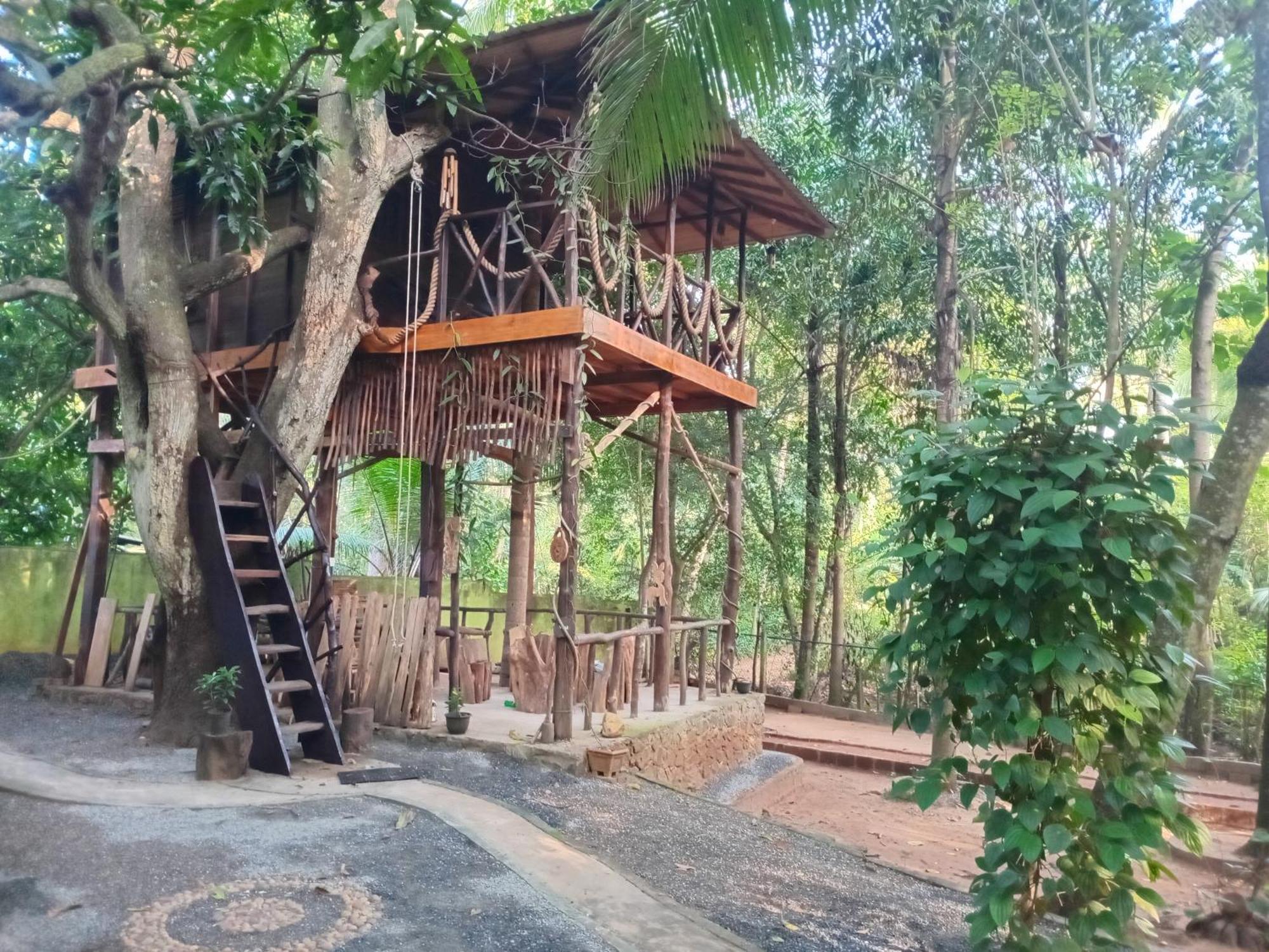 Green Park Safari House & Eco Tree House 우다왈라웨 외부 사진