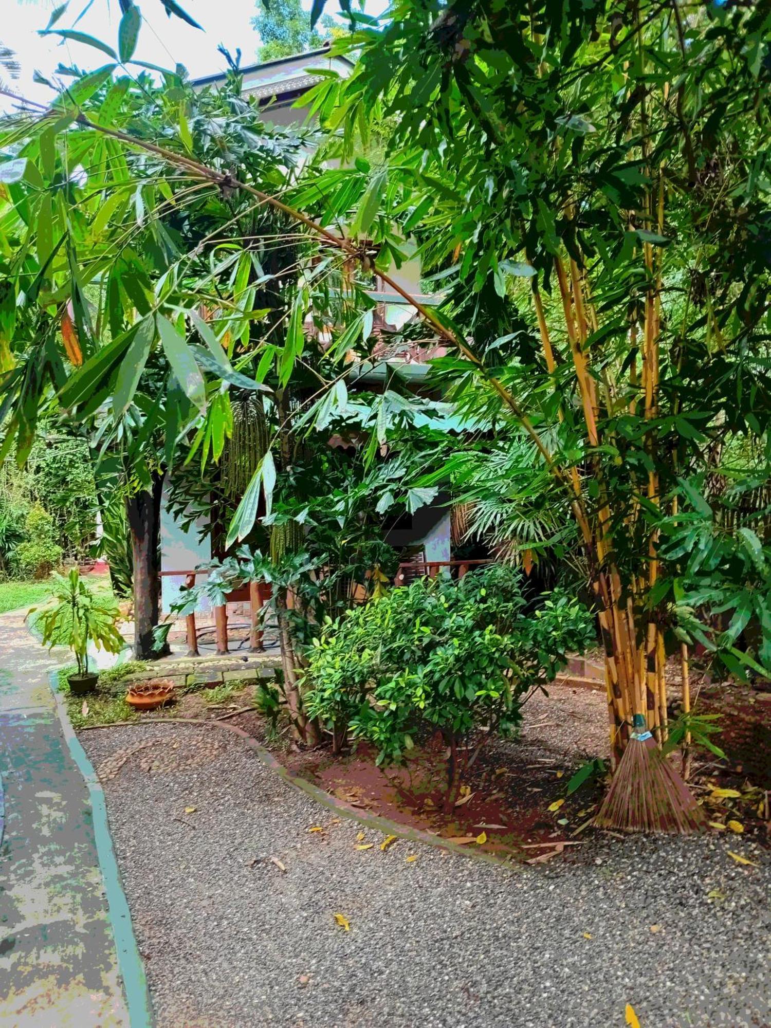 Green Park Safari House & Eco Tree House 우다왈라웨 외부 사진