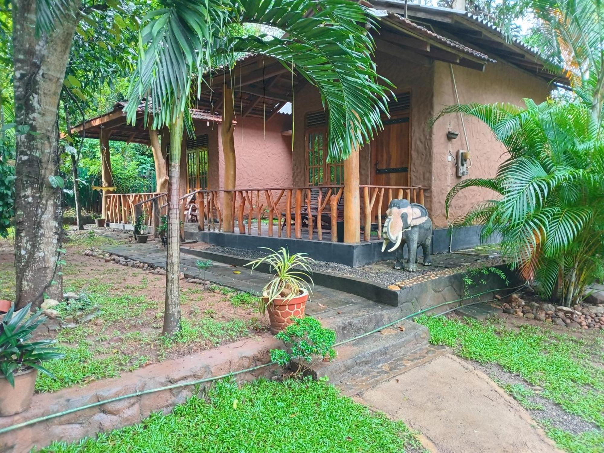 Green Park Safari House & Eco Tree House 우다왈라웨 외부 사진