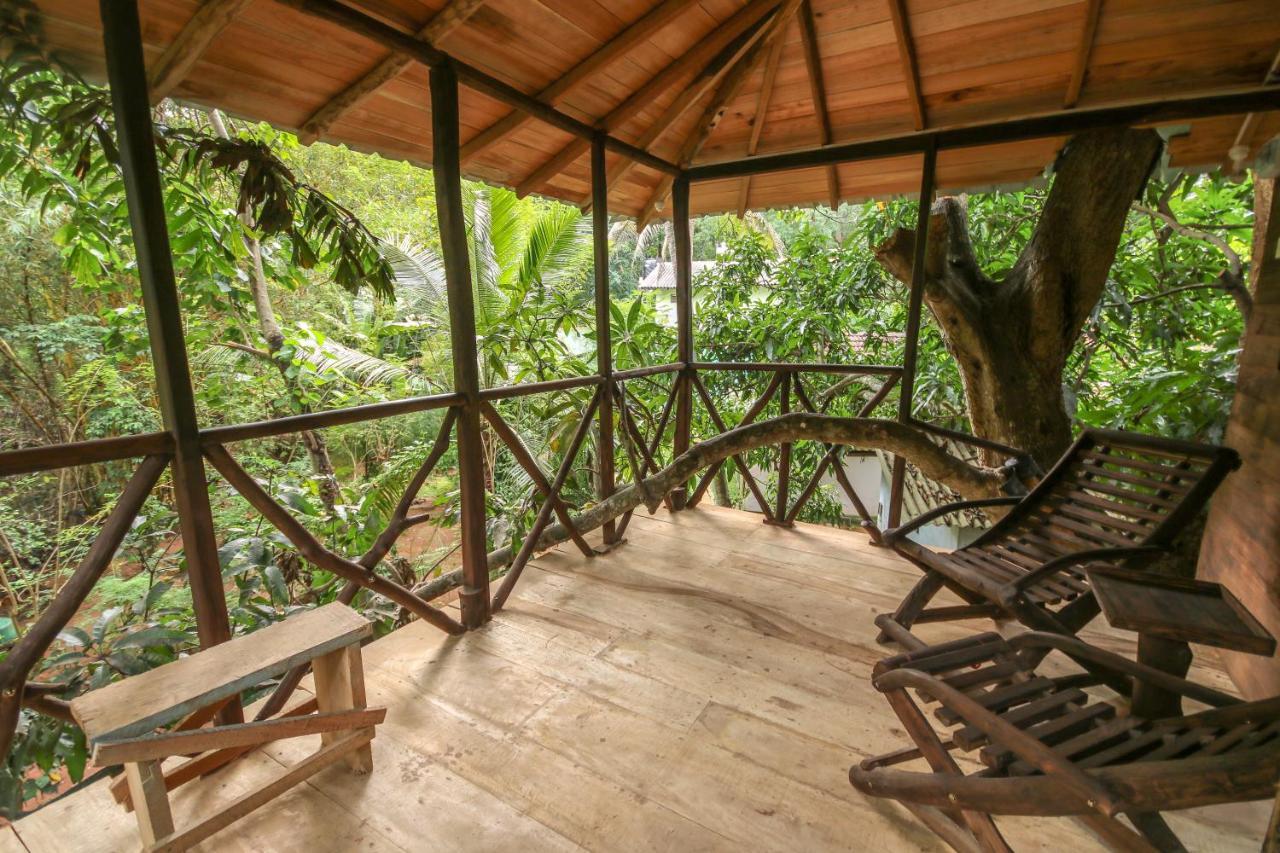 Green Park Safari House & Eco Tree House 우다왈라웨 외부 사진
